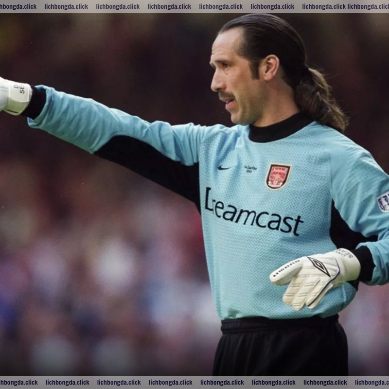 David Seaman